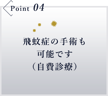 飛蚊症の手術も可能です（自費診療）