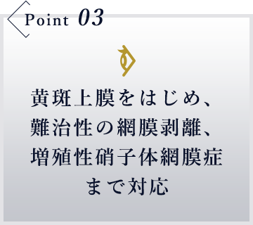 黄斑上膜をはじめ、難治性の網膜剥離、増殖性硝子体網膜症まで対応